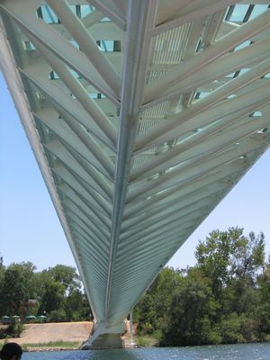 Under The Walkway.jpg