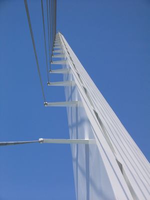 Up The Pylon.jpg